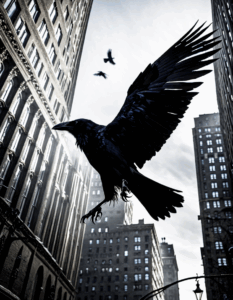 the crow streaming
