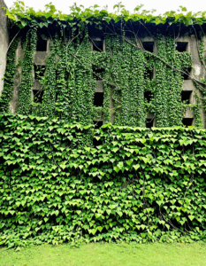 aot walls